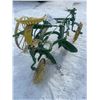 Image 4 : JOHN DEERE HORSE DRAWN 2 FURROW PLOW, HAS CAST SEAT