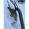 Image 2 : 1 Furrow Plow
