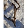 Image 2 : Antique Horse Tack