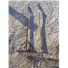 Image 1 : 2 Primitive Rakes