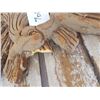 Image 3 : Eagle Wall Hanging - damaged - 27"x30"