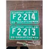 Image 1 : Saskatchewan Licence Plate (2) 65'