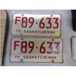 Saskatchewan Licence Plate (2) 75'