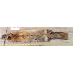Fox Pelt