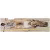 Image 2 : Fox Pelt