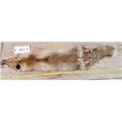 Fox Pelt