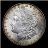 Image 2 : 1900/9-o Rainbow Toned Vam 17 Morgan Dollar $1 Grades Choice Unc