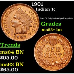 1901 Indian Cent 1c Grades Select+ Unc BN