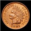 Image 2 : 1901 Indian Cent 1c Grades Select+ Unc BN