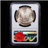 Image 5 : ***Auction Highlight*** NGC 1891-s Morgan Dollar $1 Graded ms64 By NGC (fc)