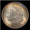 Image 2 : NGC 1904-o Morgan Dollar $1 Graded ms64 By NGC