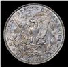 Image 3 : 1902-p Colorfully Toned Vam 19 I3 R5 Morgan Dollar $1 Grades Select Unc