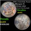 Image 1 : 1900-o Colorfully Toned Morgan Dollar $1 Grades GEM Unc