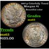 Image 1 : 1887-p Colorfully Toned Morgan Dollar $1 Grades Select Unc