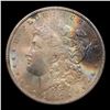 Image 2 : NGC 1887-p Rainbow Toned Morgan Dollar $1 Graded ms64 By NGC
