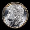 Image 2 : 1881-s Morgan Dollar $1 Graded ms66 By SEGS