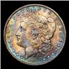 Image 2 : 1884-o Colorfully Toned Morgan Dollar $1 Grades GEM Unc