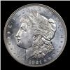 Image 2 : ***Auction Highlight*** 1921-p Morgan Dollar $1 Graded Select Unc+ PL By USCG (fc)