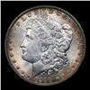 Image 2 : 1900-o Colorfully Toned Morgan Dollar $1 Grades Select+ Unc