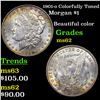 Image 1 : 1901-o Colorfully Toned Morgan Dollar $1 Grades Select Unc