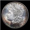 Image 2 : 1882-s Morgan Dollar $1 Grades GEM Unc