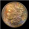 Image 2 : ***Auction Highlight*** 1904-o Colorfully Toned Vam 12 R5 Morgan Dollar $1 Graded GEM+ Unc By USCG (