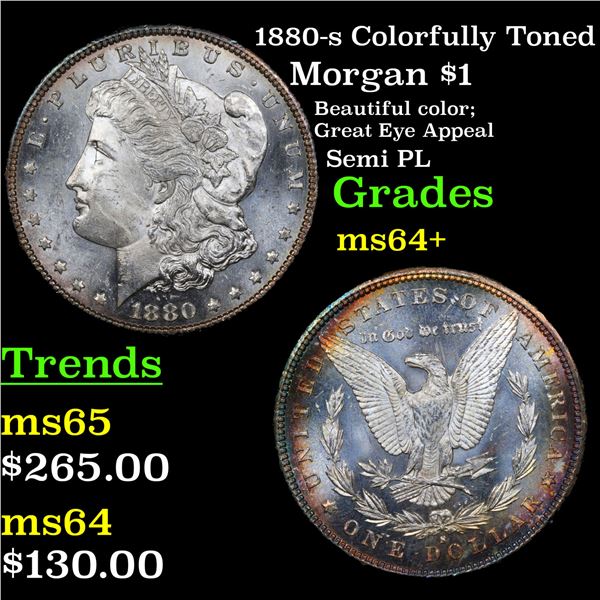 1880-s Colorfully Toned Morgan Dollar $1 Grades Choice+ Unc