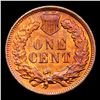 Image 3 : 1905 Indian Cent 1c Grades Select Unc RB