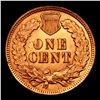 Image 3 : 1902 Indian Cent 1c Grades Gem+ Unc RB