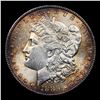 Image 2 : 1886-p Morgan Dollar $1 Grades Choice+ Unc