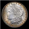 Image 2 : 1900-o Morgan Dollar $1 Grades Choice+ Unc