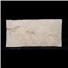 Image 3 : 1862 THE CITY OF RICHMOND, VIRGINIA 75 CENTS CONFEDERATE STATES #TR06-15 Grades f+