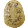 Image 1 : Modern Scrimshaw-like Patriotic Turtle Shell 
