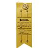 Image 1 : Kansas Suffrage Ribbon With Pinback Button 