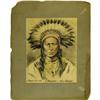 Image 1 : Chief Crow Feather Portrait By Dolph Levino 