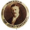 Image 1 : Theodore Roosevelt: 7/8" Button AZ Statehood 