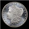 Image 2 : ***Auction Highlight*** 1892-cc /cc vam 4 Morgan Dollar $1 Graded ms63 DMPL By SEGS (fc)