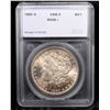 Image 4 : ***Auction Highlight*** 1884-o vam 4  Morgan Dollar $1 Graded ms66+ By SEGS (fc)