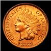 Image 2 : ***Auction Highlight*** 1889 Indian Cent 1c Graded ms64+ rd By SEGS (fc)