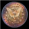 Image 3 : ***Auction Highlight*** 1890-cc Rainbow Toned Vam 1B R5 Morgan Dollar $1 Graded ms62 By SEGS (fc)