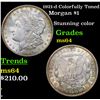 Image 1 : 1921-d Colorfully Toned Morgan Dollar $1 Grades Choice Unc