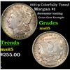 Image 1 : 1921-p Colorfully Toned Morgan Dollar $1 Grades GEM Unc
