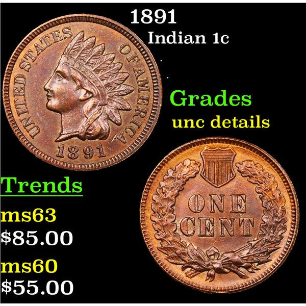 1891 Indian Cent 1c Grades Unc Details