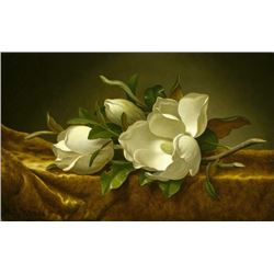 Martin Johnson Heade - Magnolias on Gold Velvet Cloth