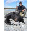 Image 3 : Black Bear Hunt for two