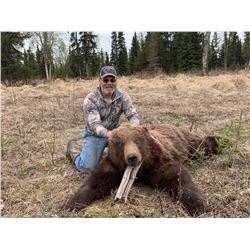 Baited Coastal Brown Bear in Unit 15C