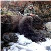 Image 2 : Kodiak Brown Bear/ Sitka Blacktail Deer Hunt