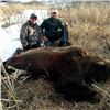 Image 3 : Kodiak Brown Bear/ Sitka Blacktail Deer Hunt