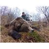Image 3 : Coastal Brown Bear Hunt