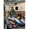 Image 25 : Saltwater Fishing Trip for Two, donated by Kurt Whitehead/Trina Nation of Treasure Hunter Lodge